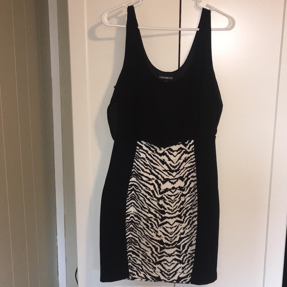 Zebra Express dress